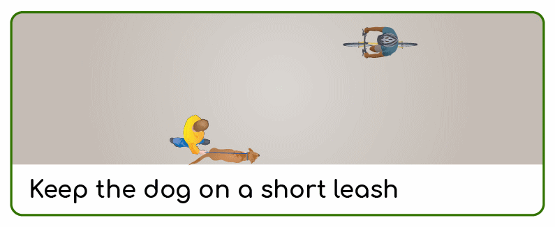 keep your dog on a short leash