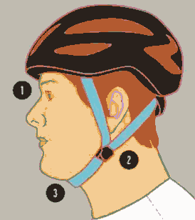 Bicycle helmet fit