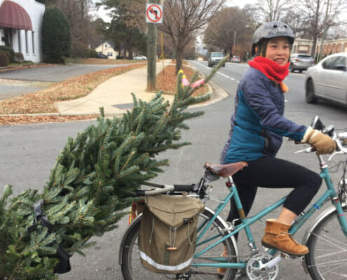 Pam brings ohome a Christmas tree