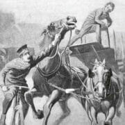 A police officer on a bicycle reins in a stampeding horse.